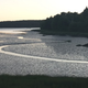 Image for article titled Pretty Fractal Patterns Pop Up in Maine's Tidal Ponds